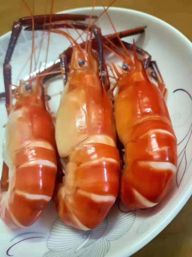 【荐】罗氏虾速冻虾货源充足保质保量可对接商超批发各大平台
