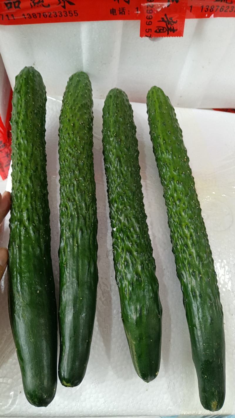 青瓜、通货、精品