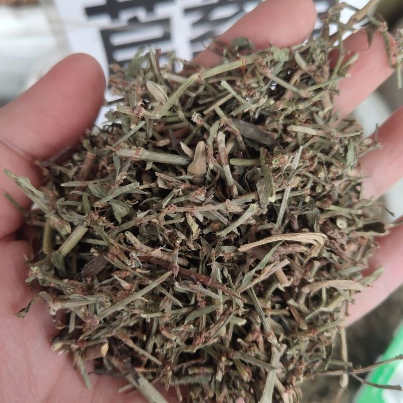 萹蓄，新货颜色好，无硫产地一手货源，实拍现货，24小时内