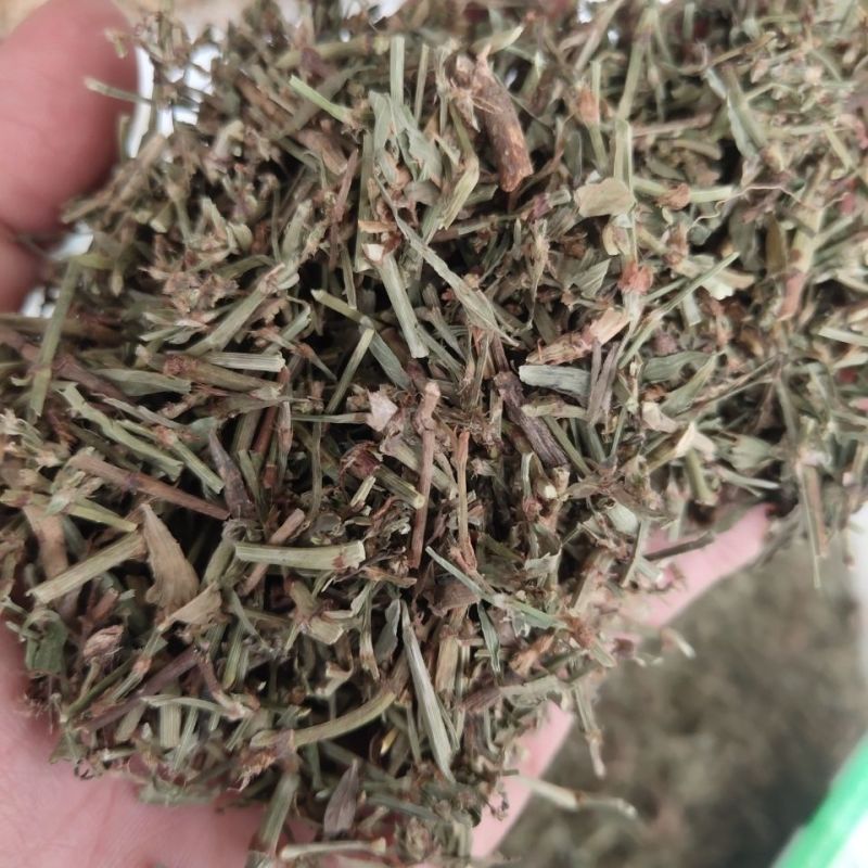 萹蓄，新货颜色好，无硫产地一手货源，实拍现货，24小时内