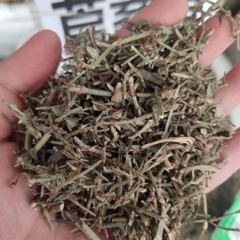 萹蓄，新货颜色好，无硫产地一手货源，实拍现货，24小时内