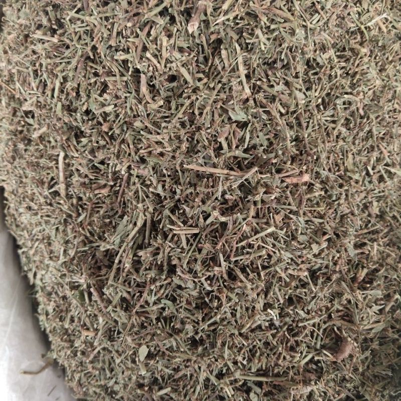 萹蓄，新货颜色好，无硫产地一手货源，实拍现货，24小时内