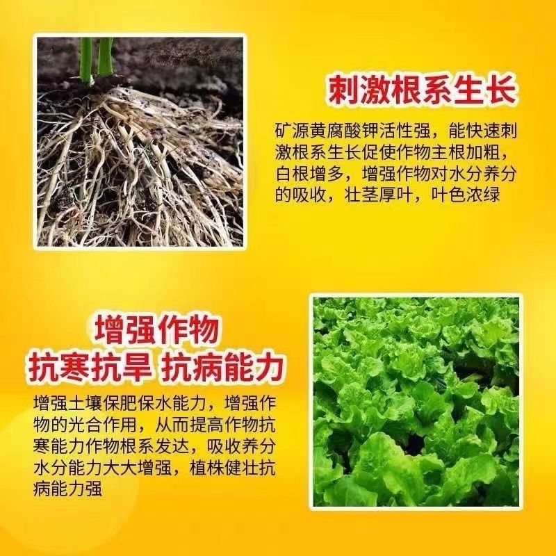 矿源黄腐酸钾原粉生根壮苗果树花卉通用腐植酸叶面肥