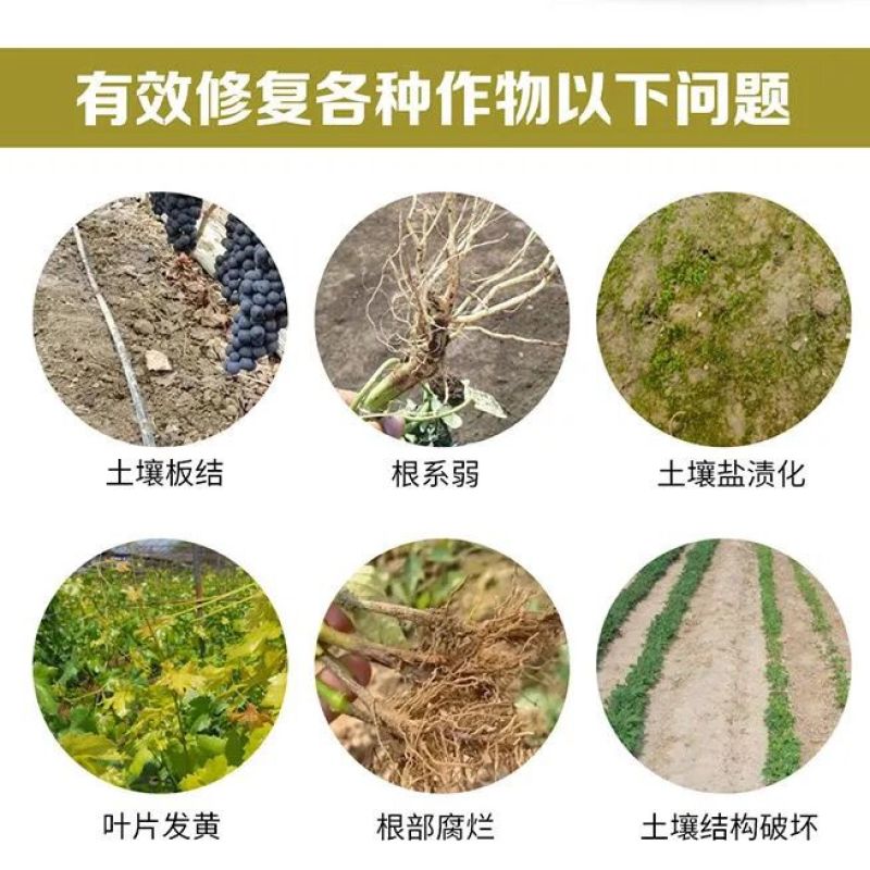 矿源黄腐酸钾原粉生根壮苗果树花卉通用腐植酸叶面肥