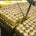 红金蜜甜瓜莘县精品蜜瓜货源充足代收代发全国发货