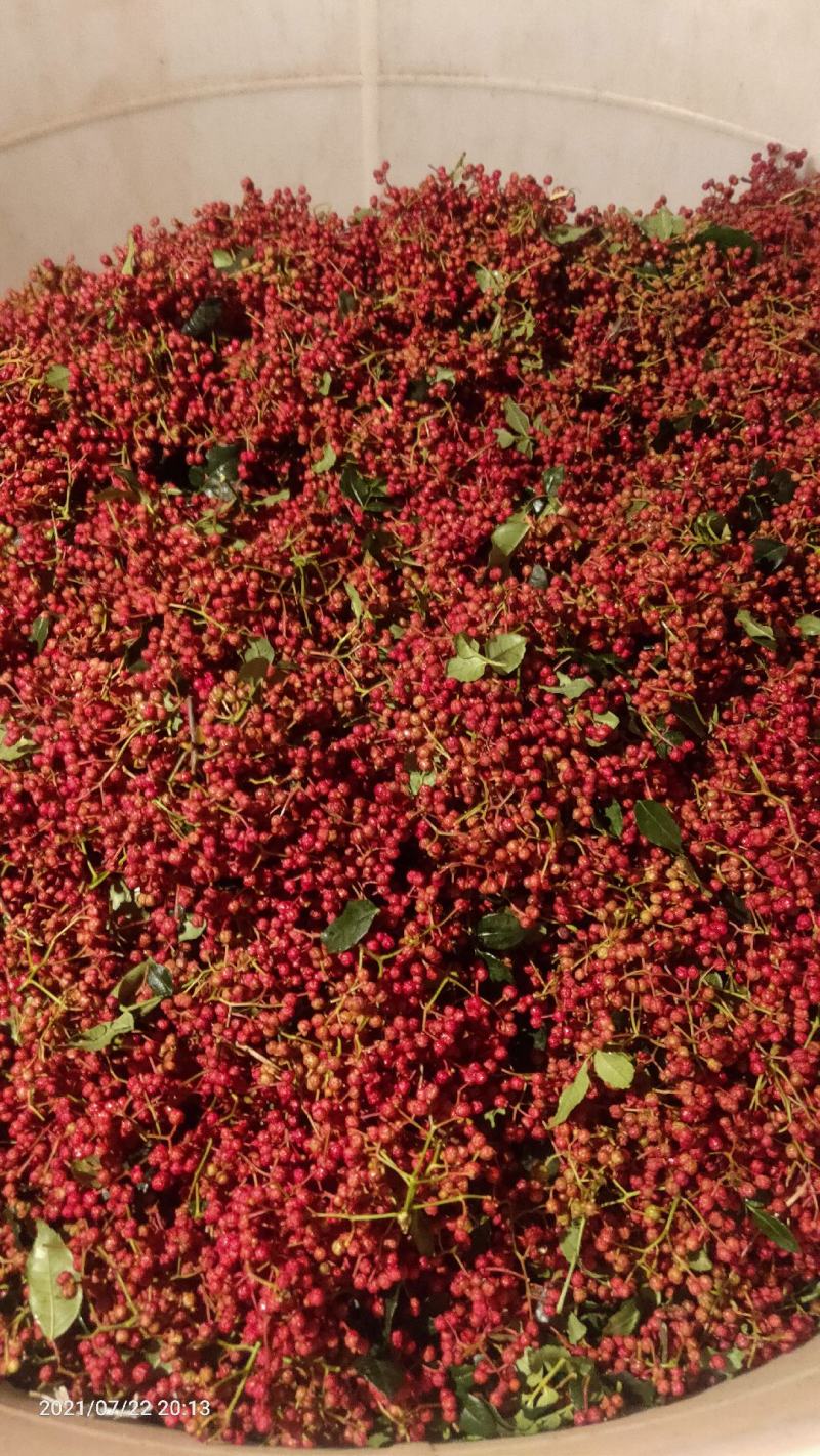 中国花椒之乡。宝鸡凤县花椒，凤县大红袍花椒（凤椒）