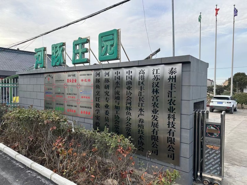 河豚鱼今年价格突破新高啦