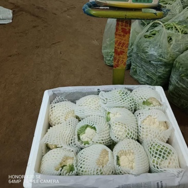 菜花