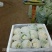菜花