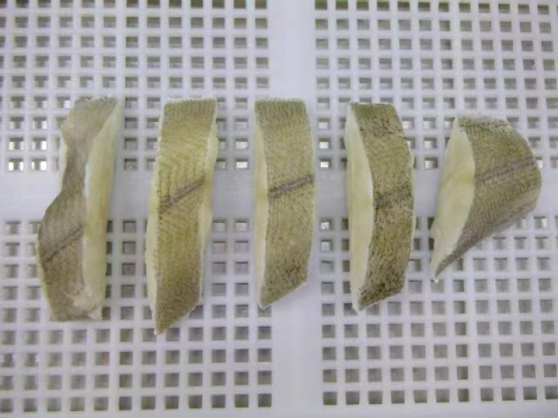 【回头客多】箭齿鲽鱼品类齐全剑齿鲽鱼轮切段鱼排