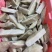 【回头客多】箭齿鲽鱼品类齐全剑齿鲽鱼轮切段鱼排
