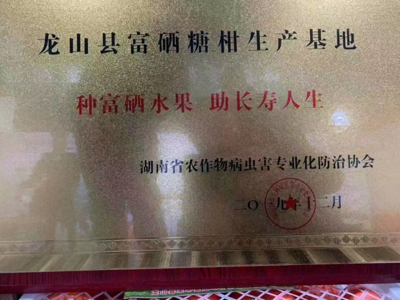 椪柑湖南湘西椪柑果肉多汁味甜产地一手货源