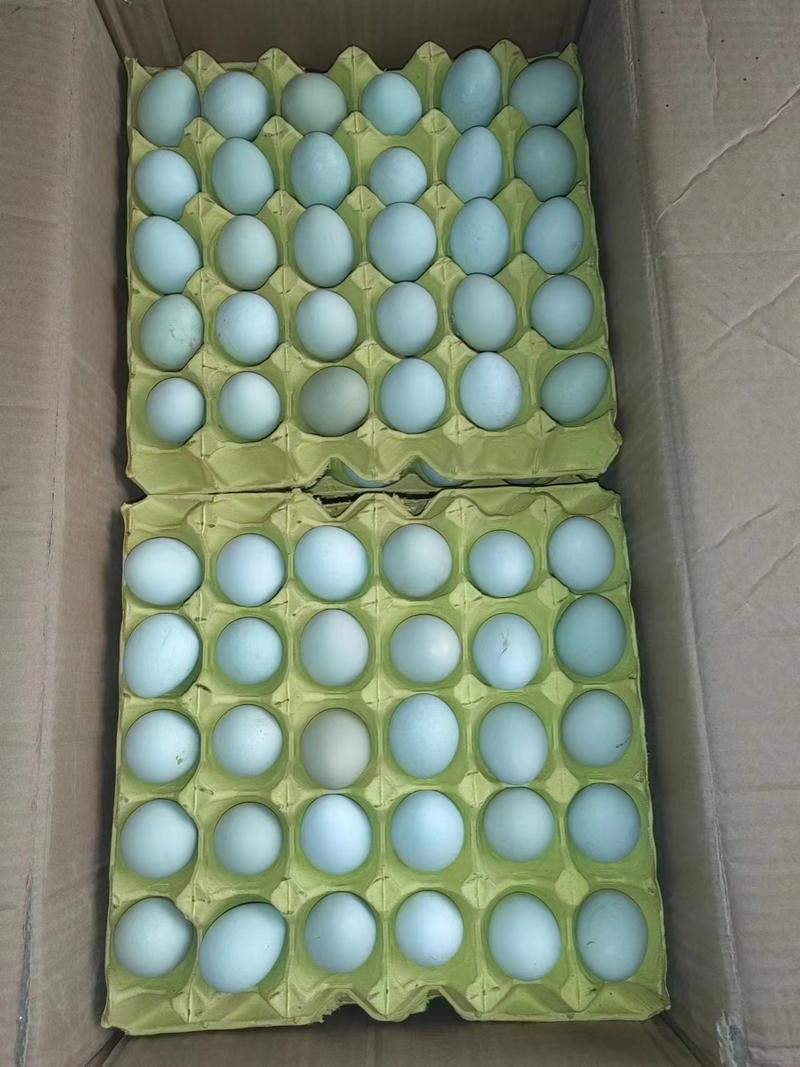 乌鸡蛋批发188元一箱