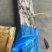 【牛商推荐】狭鳕鱼辽宁鳕鱼原料一手货源对接全国欢迎选购