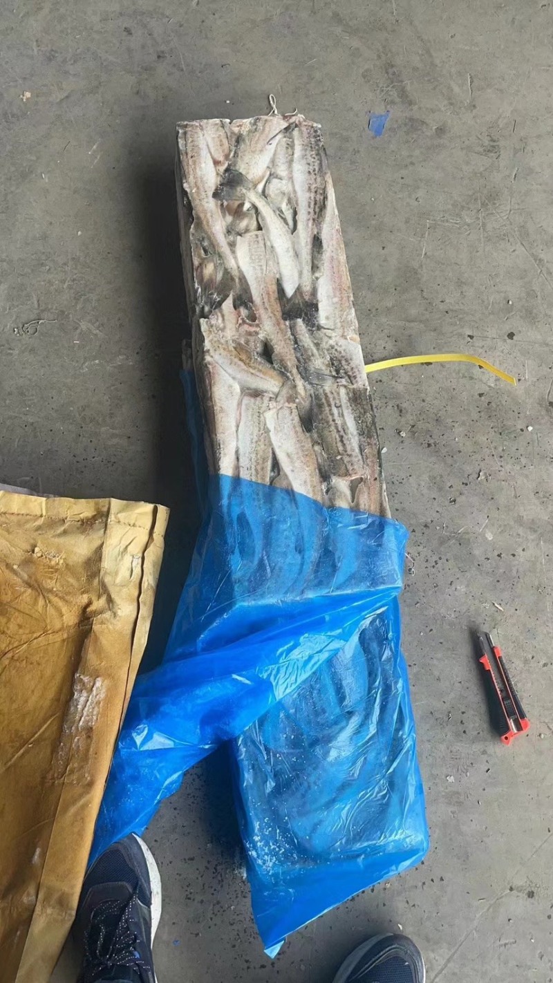 【牛商推荐】狭鳕鱼辽宁鳕鱼原料一手货源对接全国欢迎选购