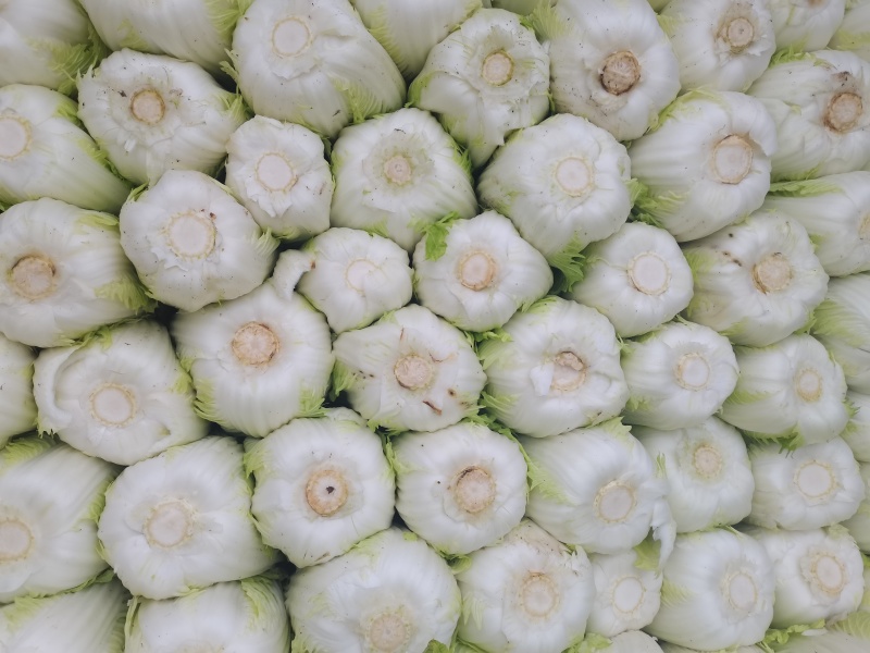 青杂三号白菜净菜毛菜市场货电商货装袋散装