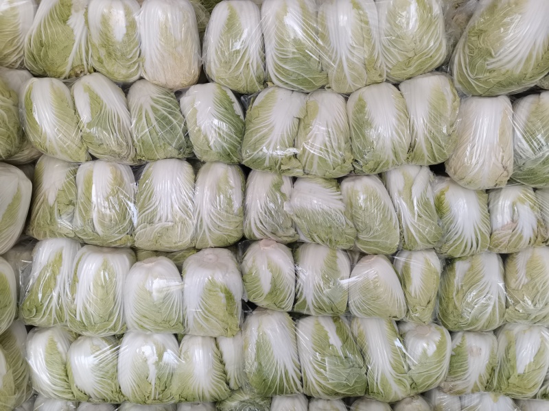 青杂三号白菜净菜毛菜市场货电商货装袋散装