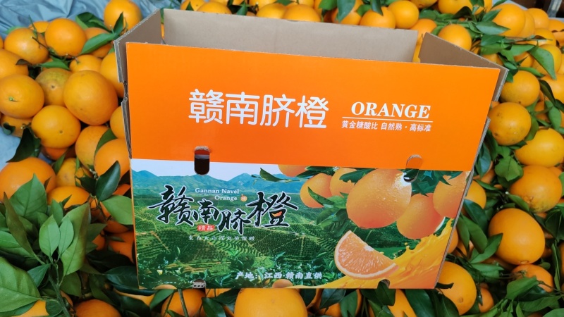 江西赣南脐橙，产地直发，品质保证支持视频看货