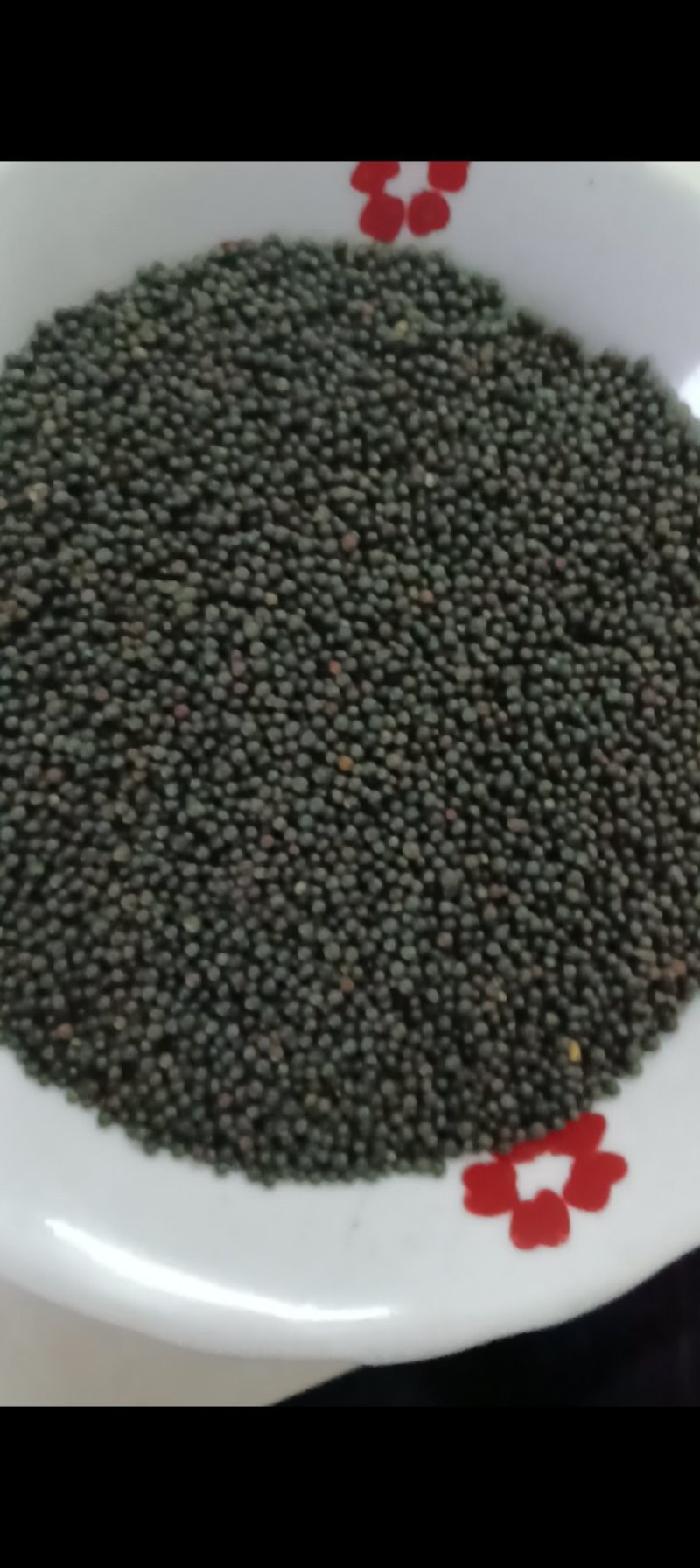 油菜籽