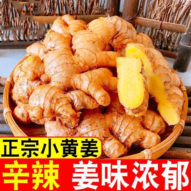 云南正宗自家种植小黄姜，长期供应，欢迎各大客商电联咨询！