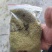 孜然碎，孜然粉，孜然颗粒辅料，孜然辅料