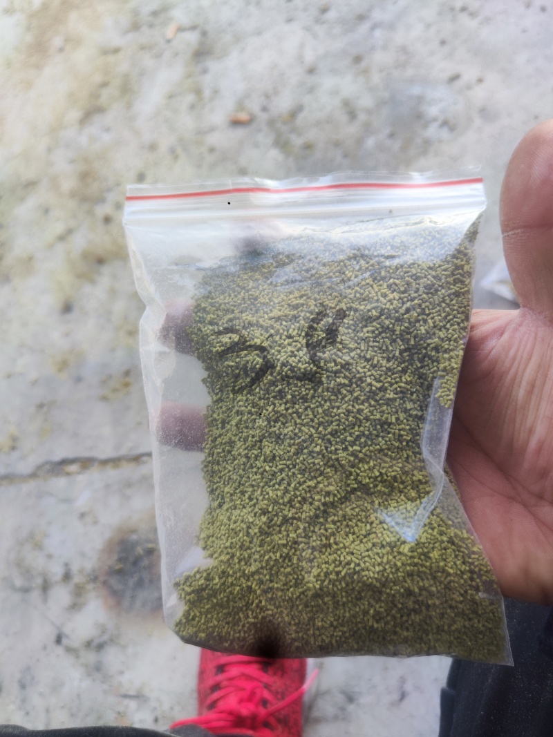 孜然碎，孜然粉，孜然颗粒辅料，孜然辅料