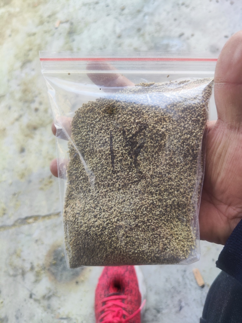 孜然碎，孜然粉，孜然颗粒辅料，孜然辅料