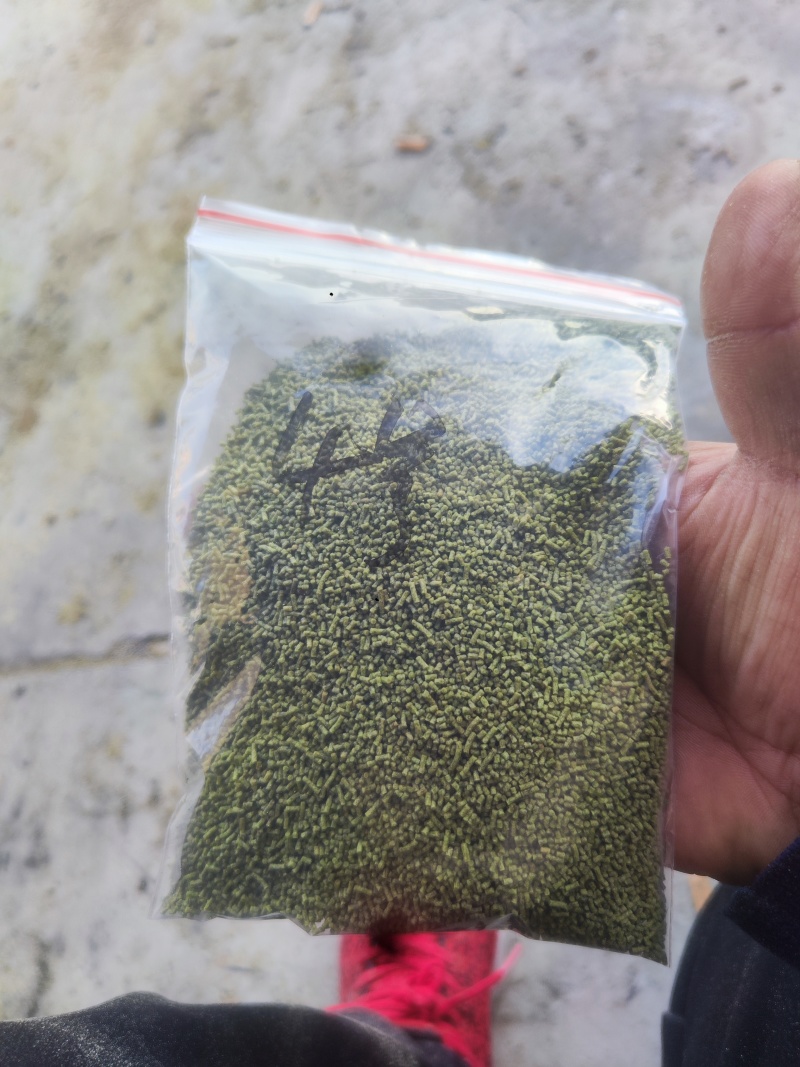 孜然碎，孜然粉，孜然颗粒辅料，孜然辅料