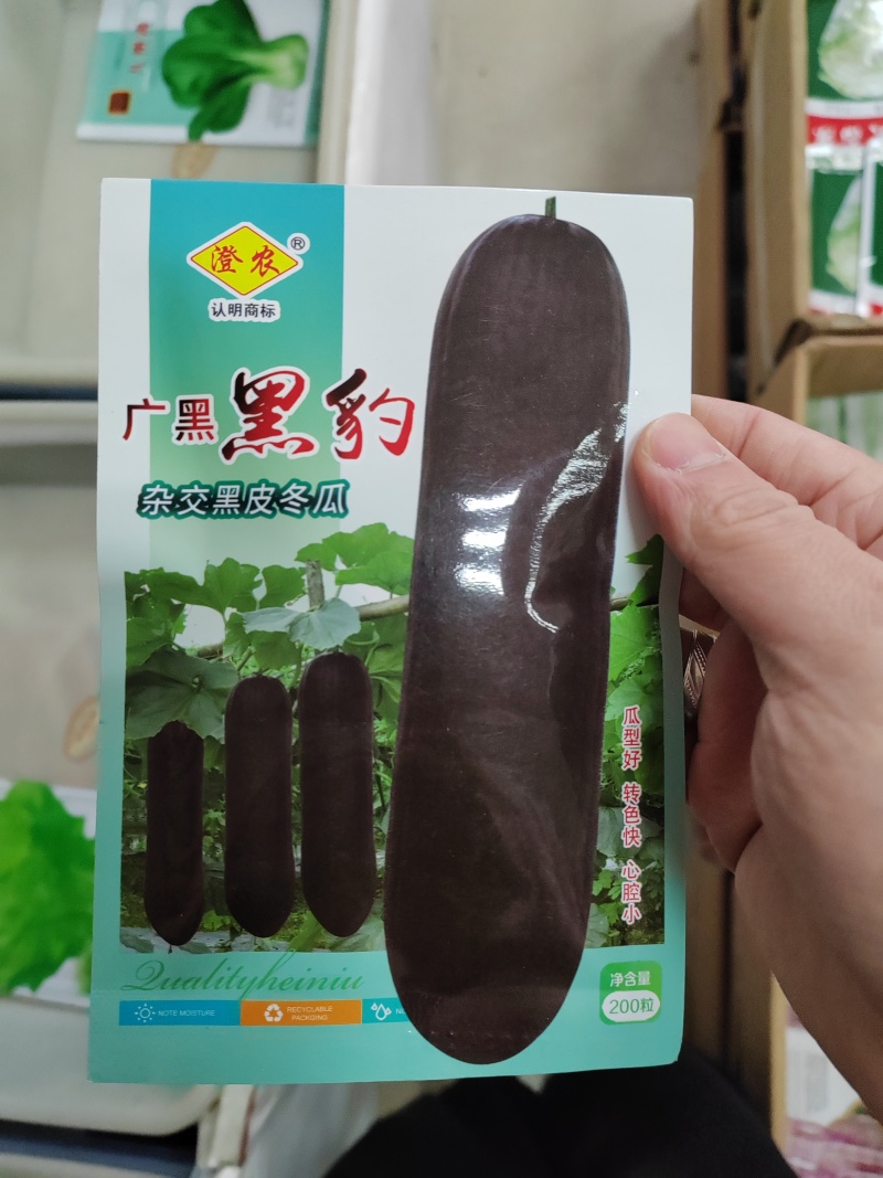 实心满心杂交爬地黑皮冬瓜种子青皮冬瓜种子炮筒型腔室小