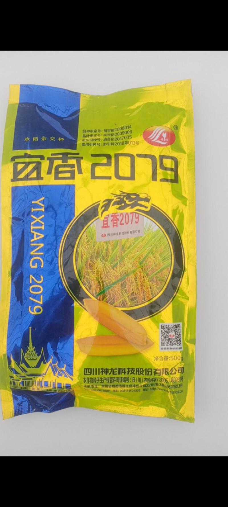 水稻杂交种子宜香2079，浓香型泰米味，川审陕审渝备黔引