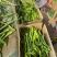 【推荐】线椒、3号线、鲜辣椒、蔬菜、茄果、8号线