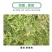 剑牌剑仙20%丁子香酚番茄病毒病杀菌剂丁子香酚水乳剂农药