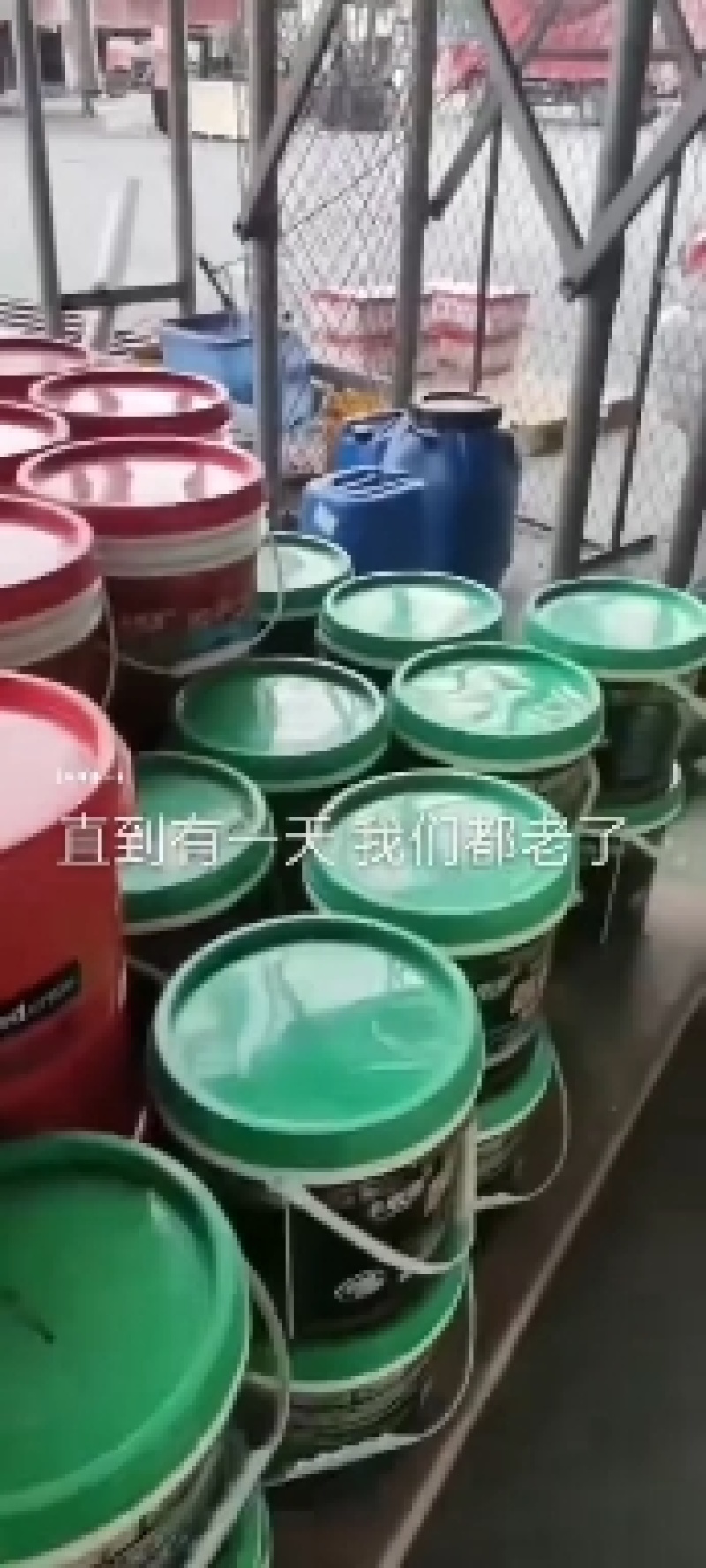 碳掌柜黄腐酸钾生根壮苗，果实膨大，果色靓丽。