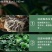 乌金素粉肌剂肥料黄腐酸钾水溶肥长苗生根。壮苗扩大树干