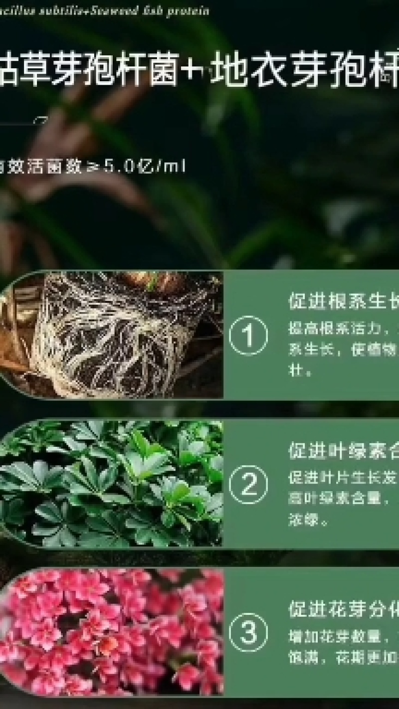 乌金素粉肌剂肥料黄腐酸钾水溶肥长苗生根。壮苗扩大树干