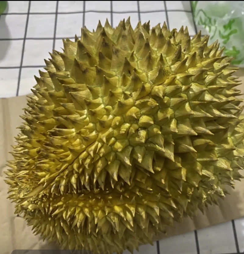 金枕榴莲实力直发质量保障