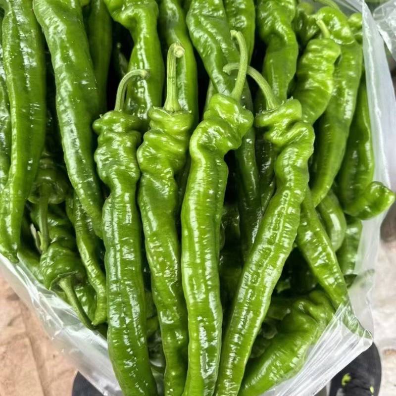 精品螺丝椒