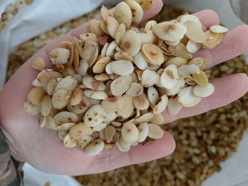桃仁，家桃仁，山桃仁扁桃仁，炒桃仁，去皮桃仁