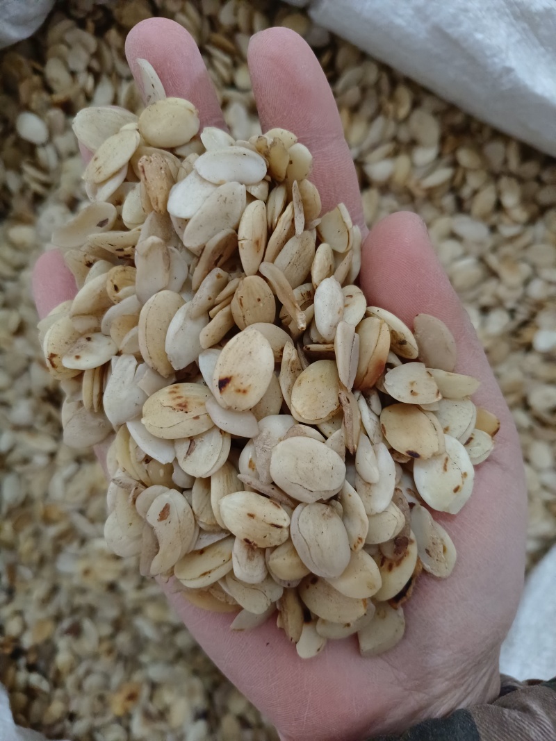 桃仁，家桃仁，山桃仁扁桃仁，炒桃仁，去皮桃仁