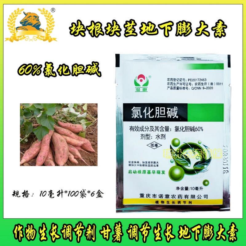 60%氯化胆碱块根茎膨大素大姜萝卜药材马铃暑植物调节剂