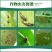 45%啶虫哒螨灵防治苹果树黄蚜跳甲专用红蜘蛛蔬菜花卉果树