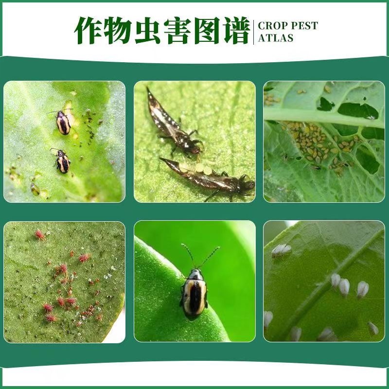 45%啶虫哒螨灵防治苹果树黄蚜跳甲专用红蜘蛛蔬菜花卉果树