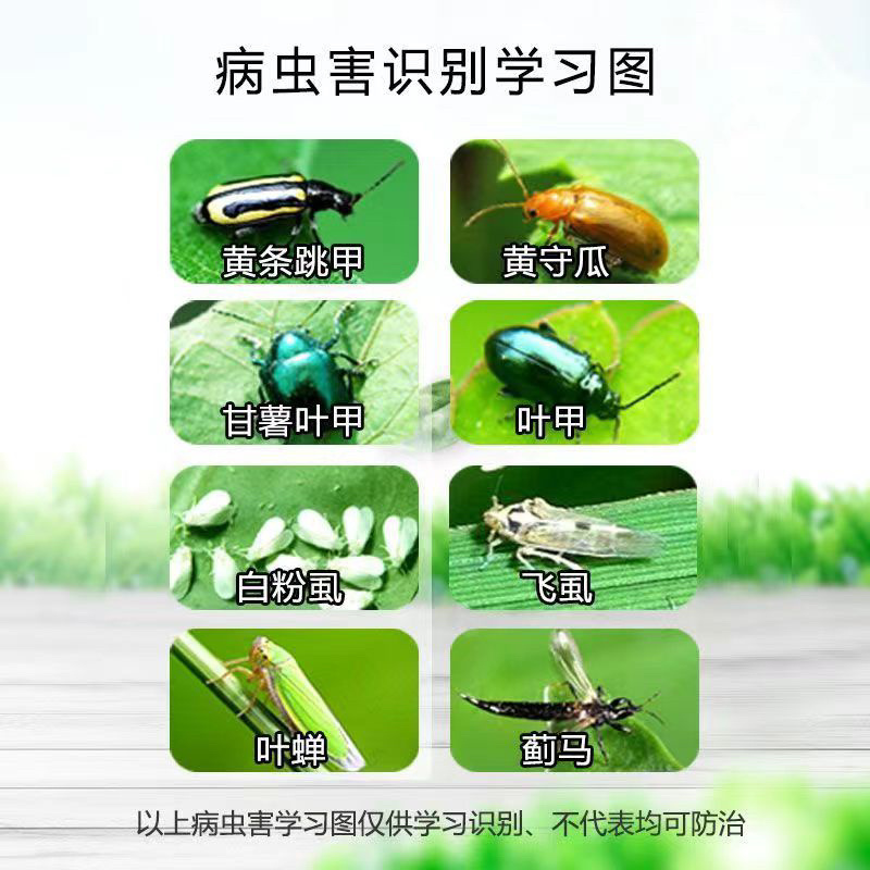 45%啶虫哒螨灵防治苹果树黄蚜跳甲专用红蜘蛛蔬菜花卉果树