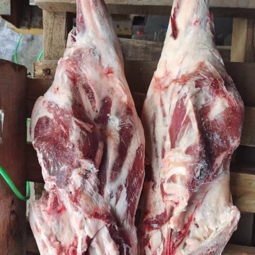 大羊带骨后腿质量好颜色鲜价格合适餐饮好食材