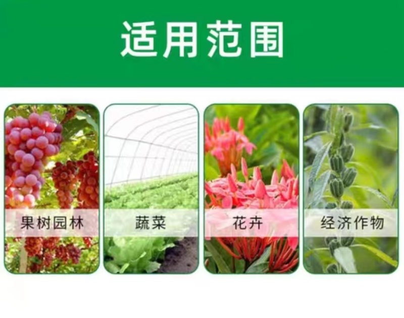 20%啶虫哒螨灵跳甲棉花蚜虫果树蔬菜农用杀虫剂