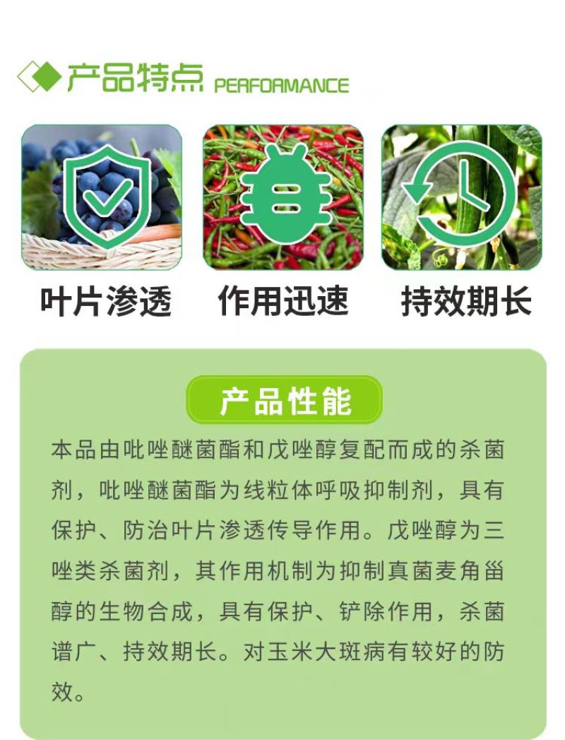 正品30%唑醚戊唑醇吡唑醚菌酯抗性辣椒蔬菜炭疽病专用杀