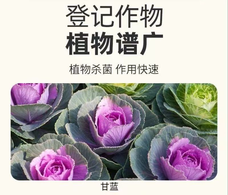 20%溴氰吡虫啉溴氰菊酯抗性蚜虫专用桃蚜桃树腻虫蔬菜杀虫