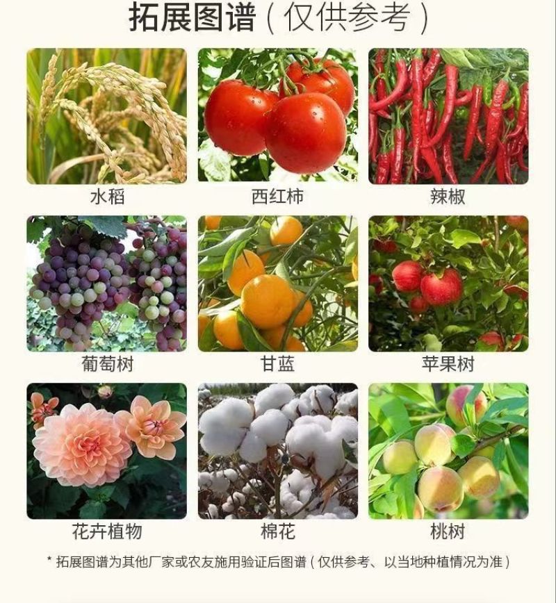 20%溴氰吡虫啉溴氰菊酯抗性蚜虫专用桃蚜桃树腻虫蔬菜杀虫