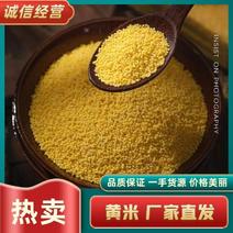 【精选】内蒙古本地小米大黄米品质保证假一赔十可视频