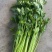 国家地理标志常年芹菜供货香芹玻璃翠诚信经营